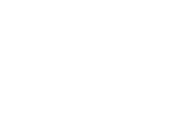 Client Logo: Bent Keshk Furniture Gallerry