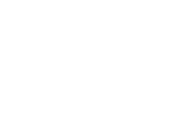 Client Logo: DD Store for clothing and Perfumes