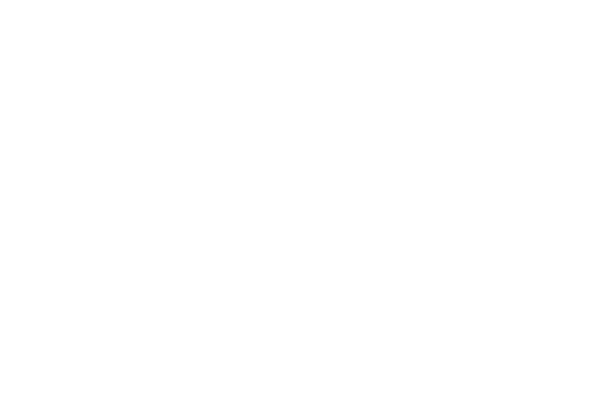 Client Logo: Dev Fact Software for Digital Solutions