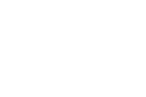 Client Logo: Egyptian Emirates Air Cargo Group