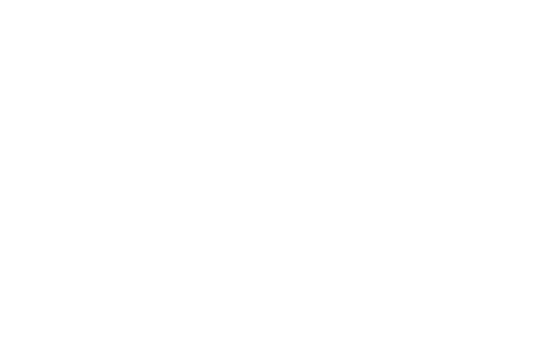 Client Logo: Egyptian Emirates Air Cargo Services LLC