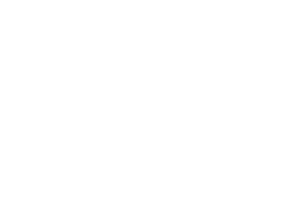 Client Logo: Helwan University