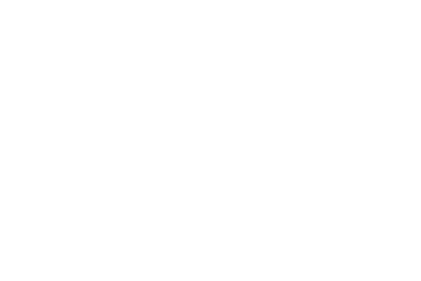 Client Logo: Liyon Store for Electronics