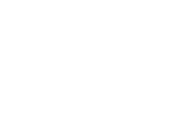 Client Logo: Roshin Real Estate