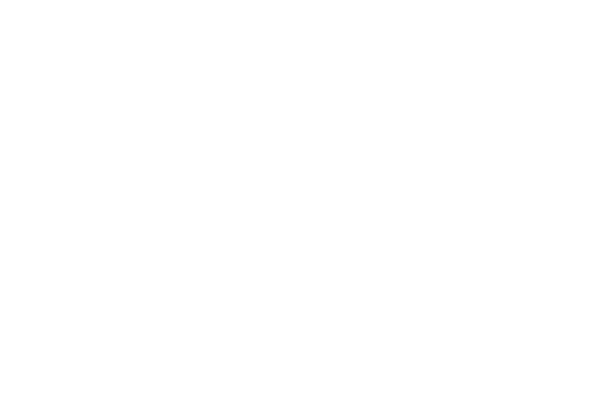 Client Logo: Safarni Com Trip Advisors
