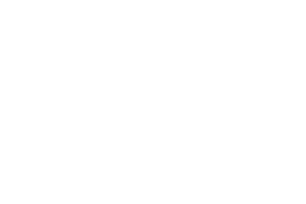 Client Logo: Slim Wold - Weight Loss Capsules