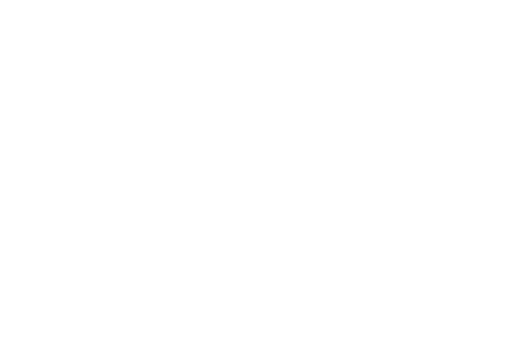 Client Logo: TATA Motors Egypt